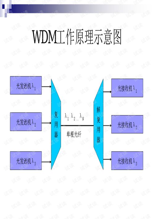 新一代互联网技术第四章 其它文档类资源 CSDN下载